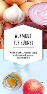 Natürliche Hausmittel zur Entwurmung von Hühnern: Gesunde Gefiederte dank bewährter Methoden